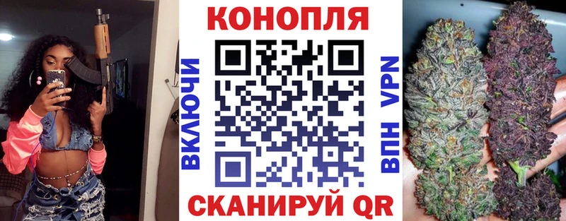 Каннабис планчик  Сураж 